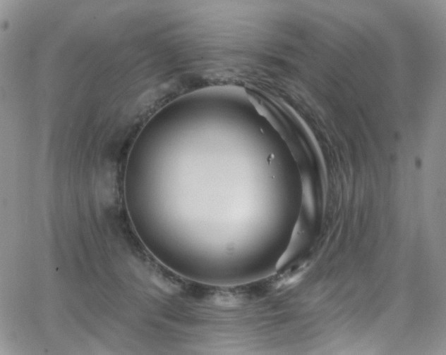 X0000062140416200512091220