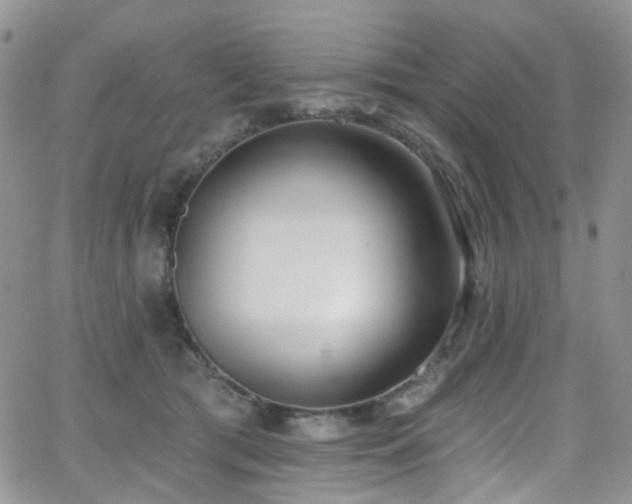 X0000062140417200512091220