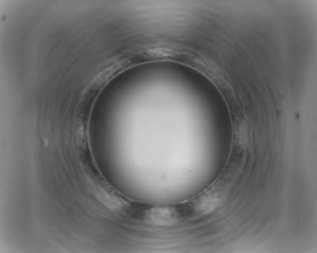 X0000062140418200512091220