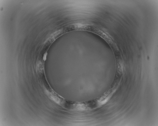 X0000062140419200512091220