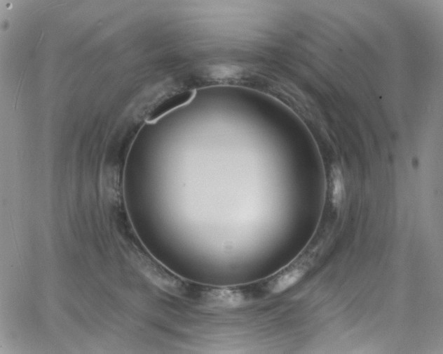 X0000062140421200512091220