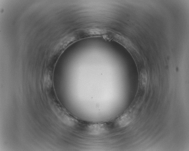 X0000062140422200512091220