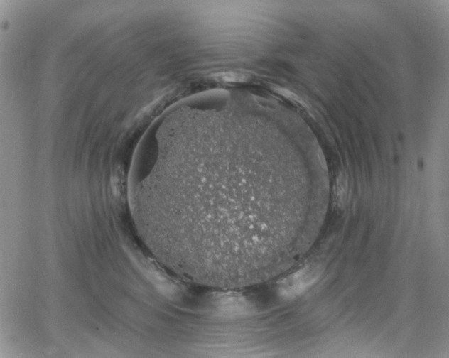 X0000062140424200512091220