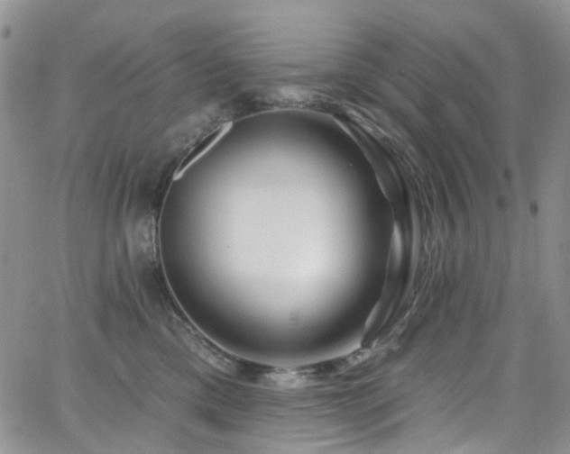 X0000062140425200512091220