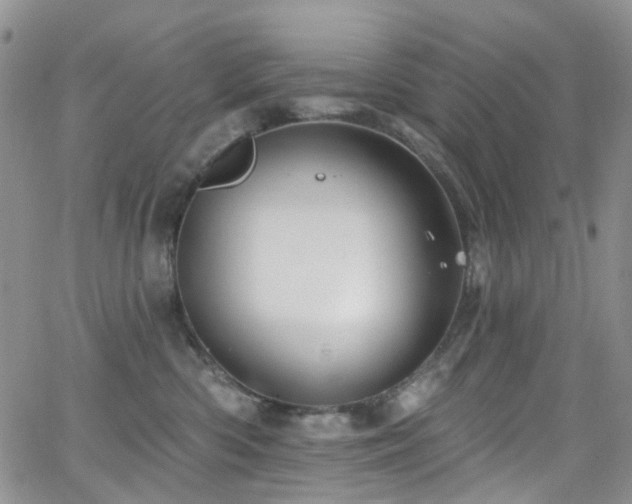 X0000062140426200512091220