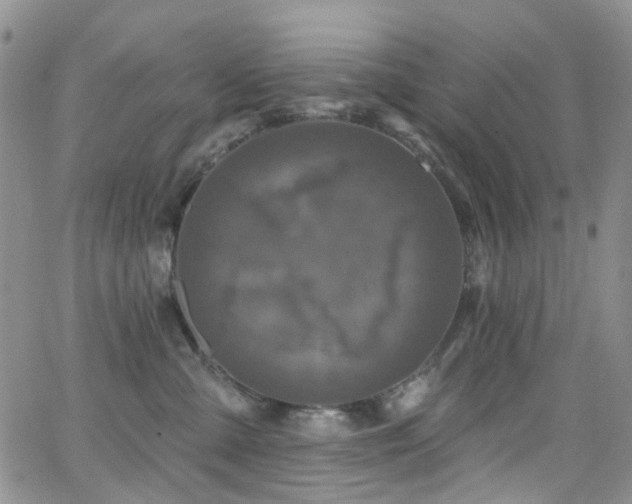 X0000062140427200512091220