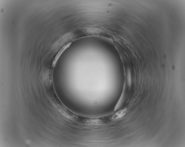 X0000062140428200512091220