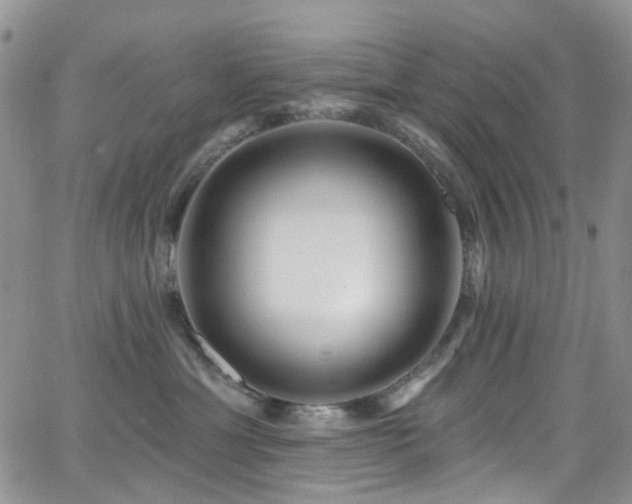 X0000062140429200512091220