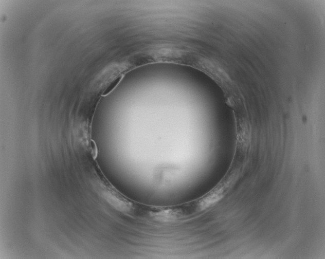 X0000062140430200512091220