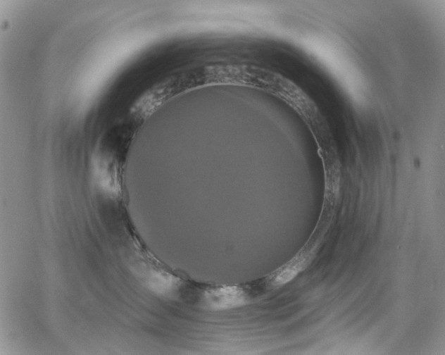 X0000062140431200512091220