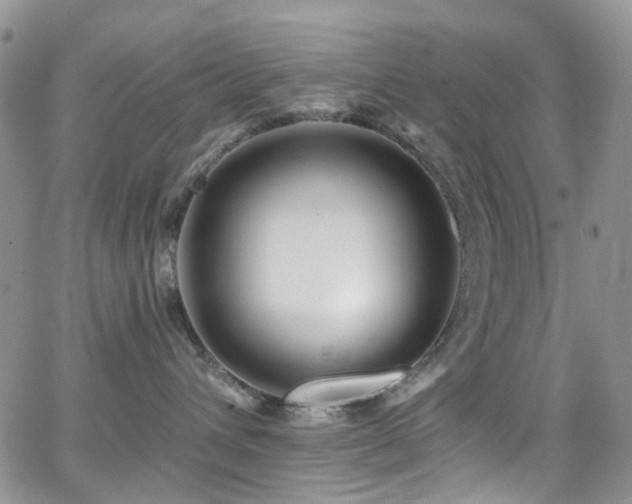 X0000062140432200512091220