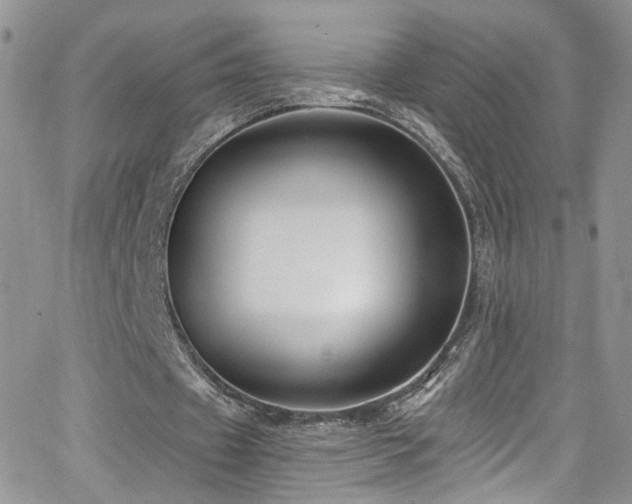 X0000062140433200512091219