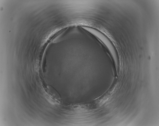 X0000062140434200512091219