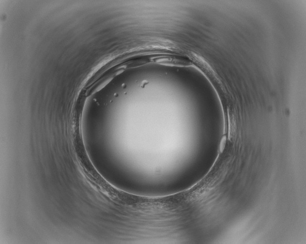 X0000062140435200512091219