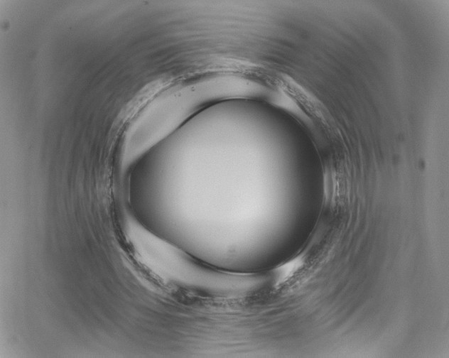 X0000062140436200512091219