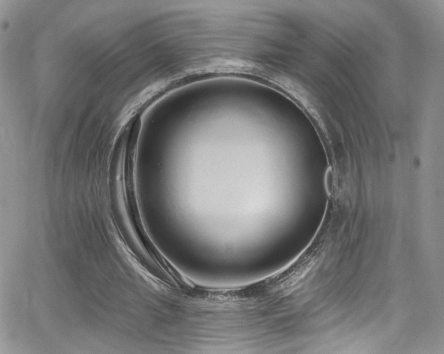 X0000062140437200512091219