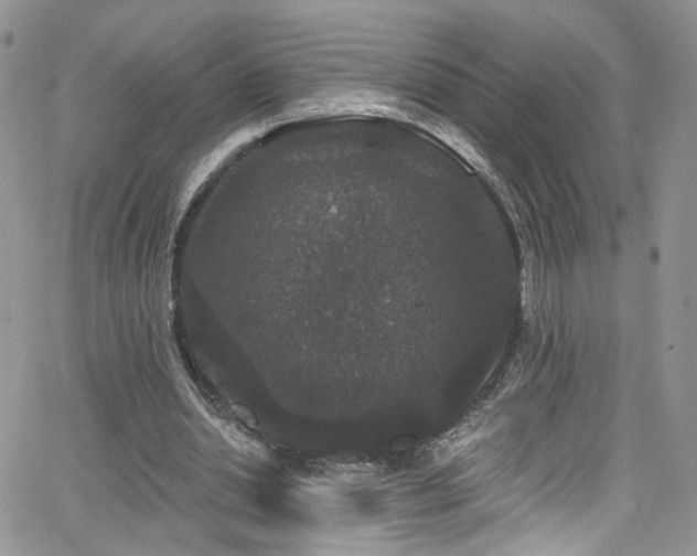 X0000062140438200512091219