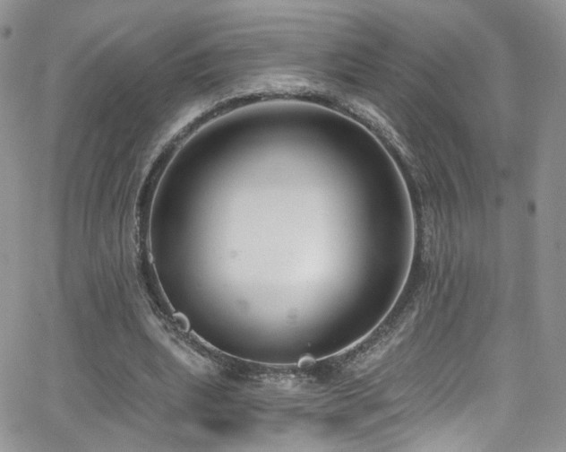 X0000062140439200512091219