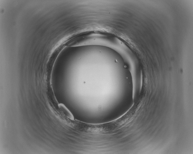 X0000062140440200512091219