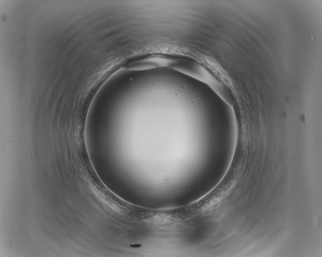 X0000062140441200512091219