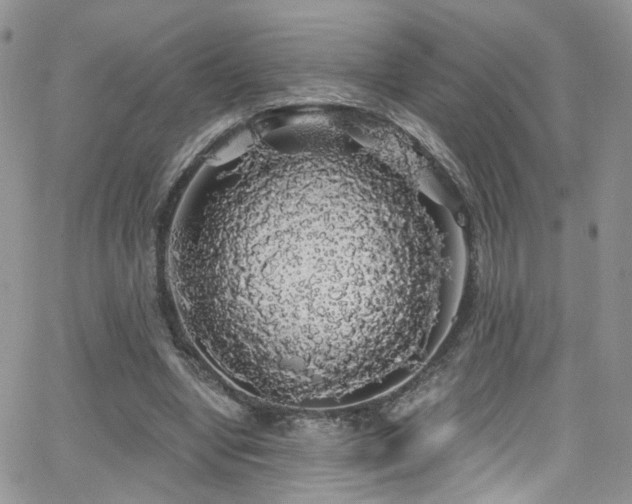 X0000062140442200512091219