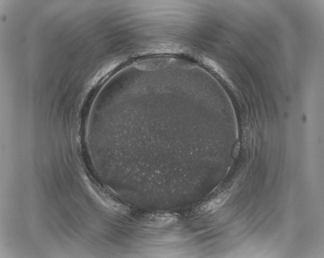 X0000062140443200512091219