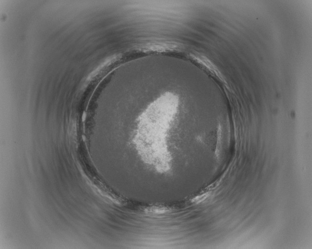 X0000062140444200512091219