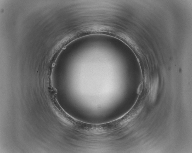 X0000062140445200512091219