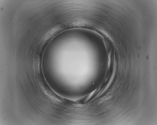 X0000062140446200512091219