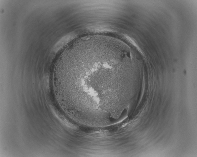 X0000062140447200512091219