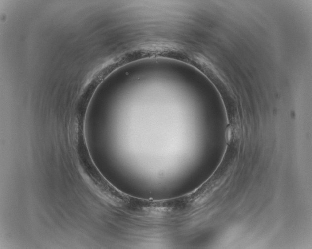 X0000062140448200512091219