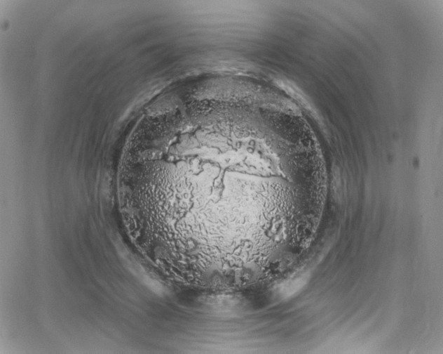 X0000062140449200512091219