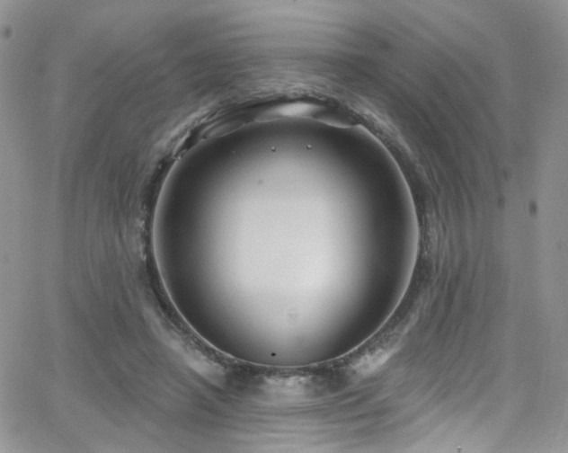 X0000062140450200512091219