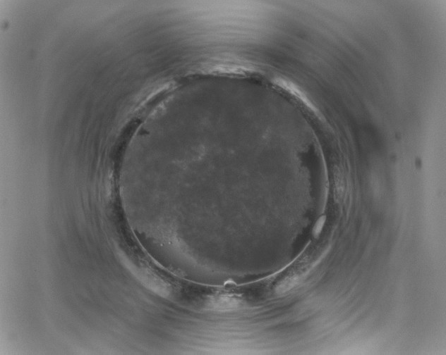 X0000062140451200512091219