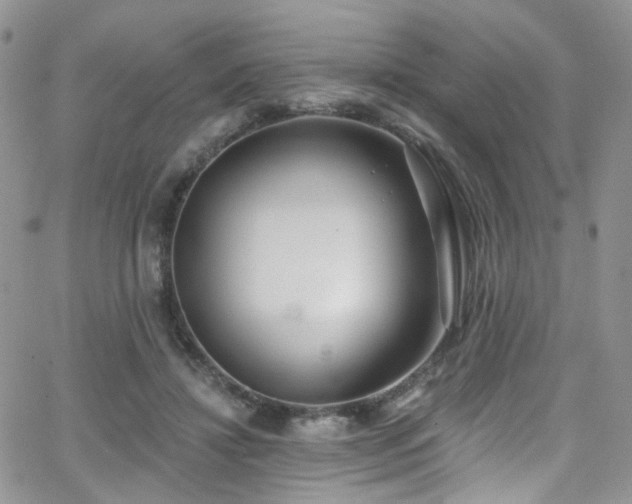 X0000062140452200512091219