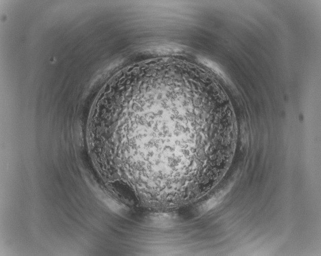 X0000062140453200512091219