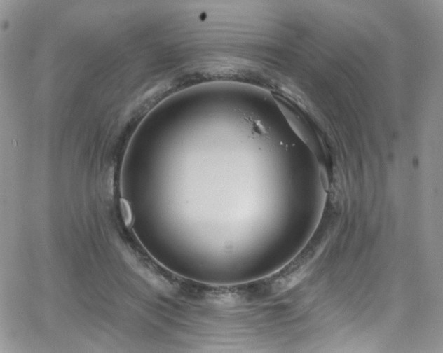 X0000062140454200512091219