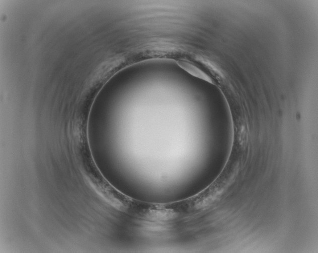 X0000062140455200512091219