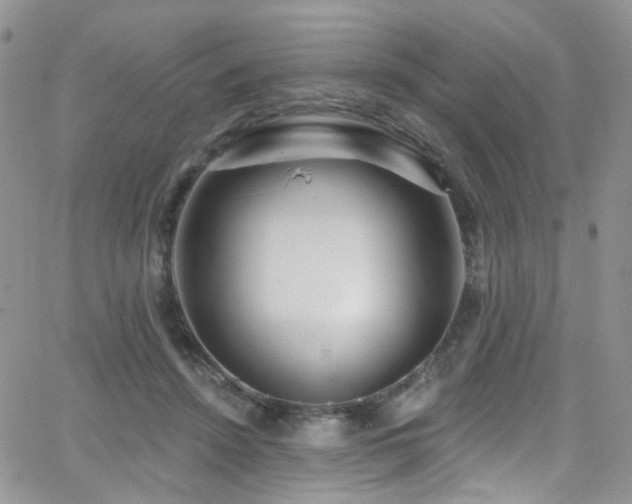 X0000062140456200512091219