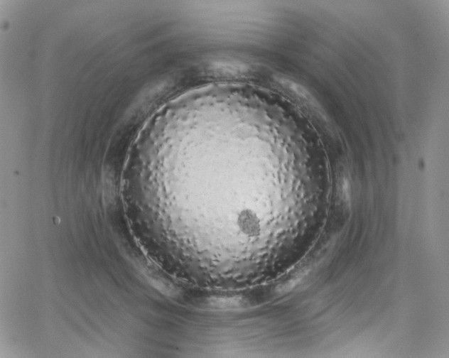 X0000062140457200512091219