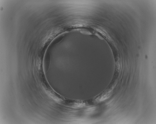 X0000062140458200512091219