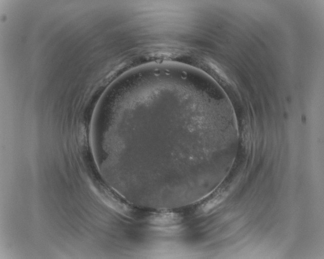 X0000062140459200512091219