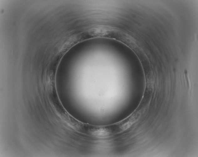 X0000062140460200512091219