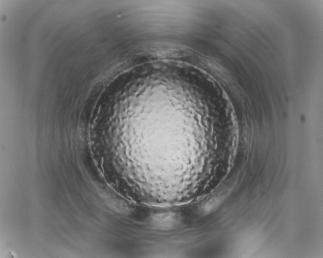 X0000062140461200512091219