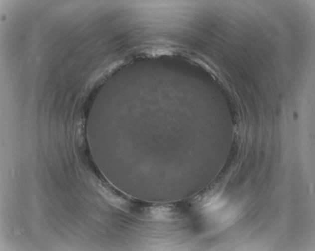 X0000062140462200512091219