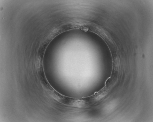 X0000062140463200512091219