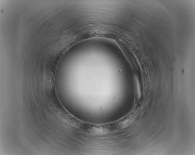 X0000062140464200512091219