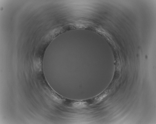 X0000062140465200512091219