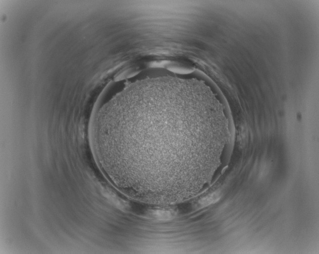 X0000062140466200512091219