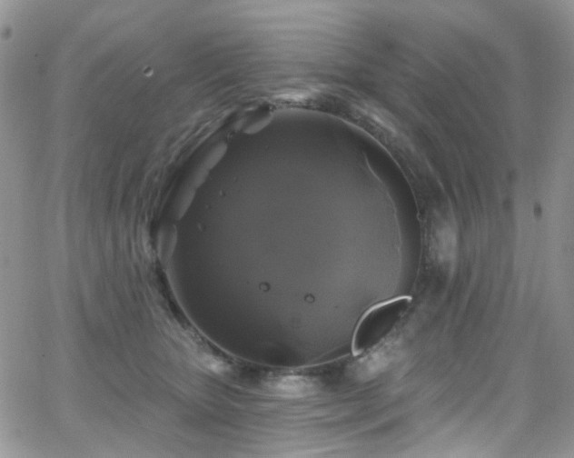 X0000062140467200512091219